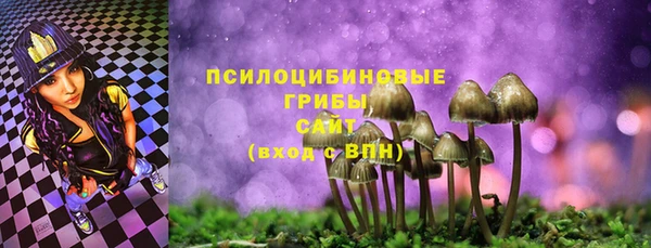 дмт Алексеевка