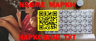 индика Сланцы