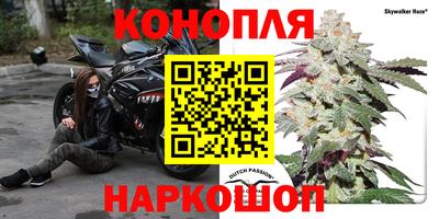 Альфа ПВП Славянск-на-Кубани