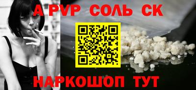 индика Сланцы