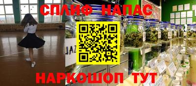 индика Сланцы