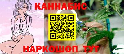 индика Сланцы