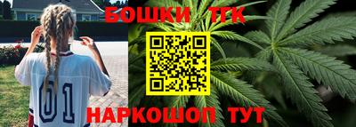 индика Сланцы