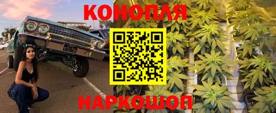 индика Сланцы