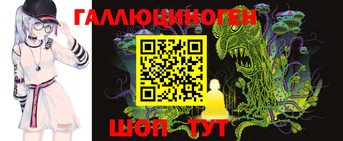 Псилоцибиновые грибы Psilocybe Усолье-Сибирское