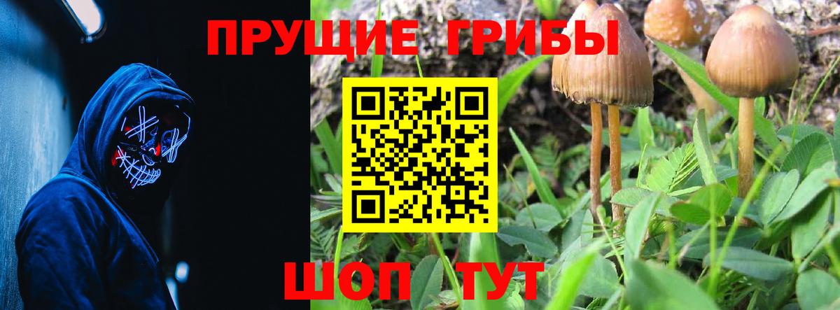 Галлюциногенные грибы мицелий  Вход с VPN  Усолье-Сибирское 